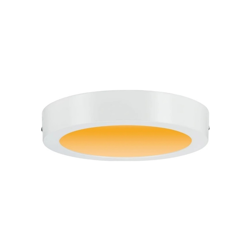 Paulmann 79795 - LED/13W Iluminação de teto CARPO 230V 2300/2500/3000K