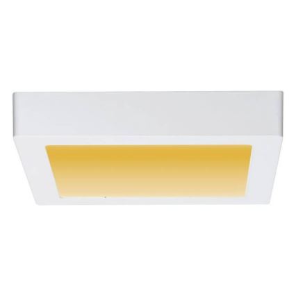 Paulmann 79796 - LED/13W Iluminação de teto CARPO 230V 2300-3000K