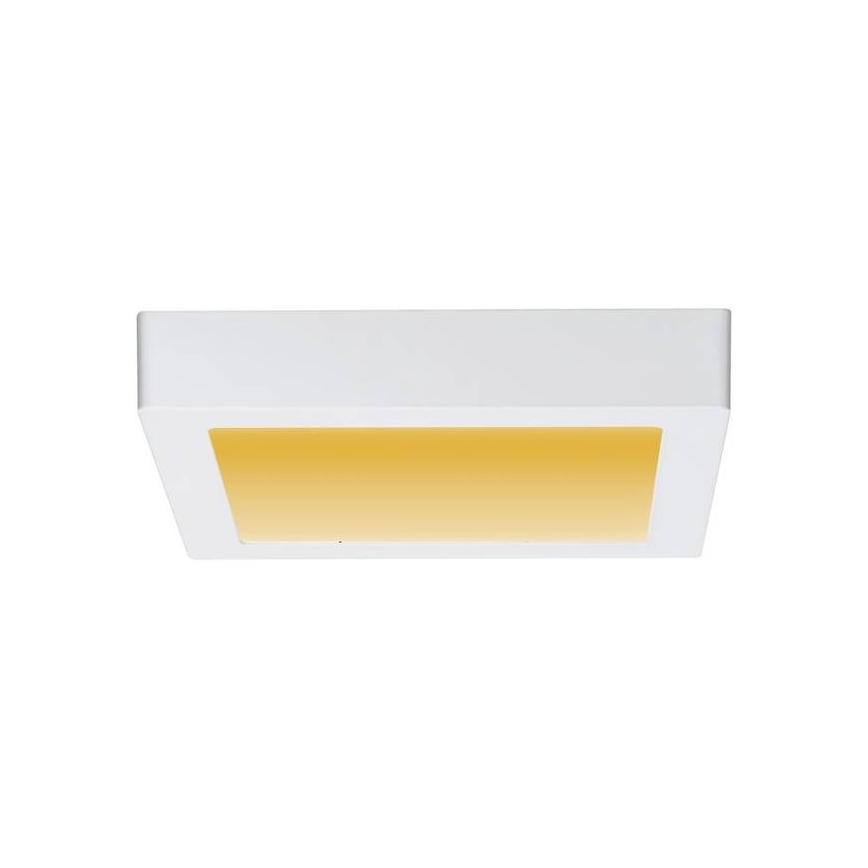 Paulmann 79796 - LED/13W Iluminação de teto CARPO 230V 2300-3000K