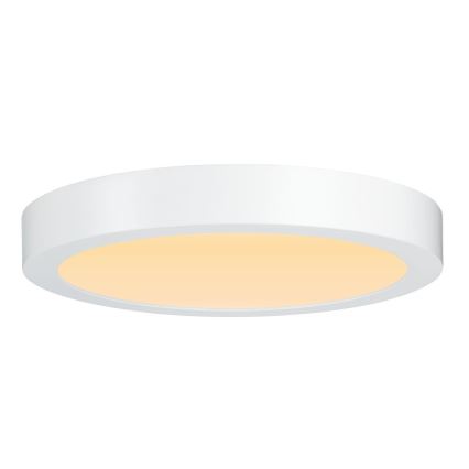 Paulmann 79799 - LED/19W Iluminação de teto CARPO 230V 2300/2500/3000K
