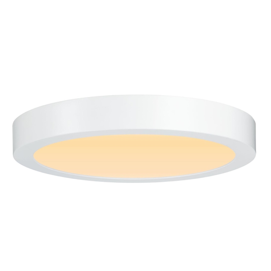 Paulmann 79799 - LED/19W Iluminação de teto CARPO 230V 2300/2500/3000K