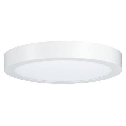 Paulmann 79799 - LED/19W Iluminação de teto CARPO 230V 2300/2500/3000K