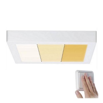 Paulmann 79801 - LED/13W Iluminação de teto CARPO 230V 2300/2500/3000K