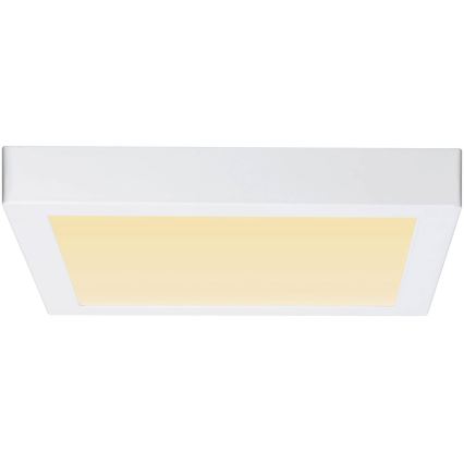 Paulmann 79801 - LED/13W Iluminação de teto CARPO 230V 2300/2500/3000K