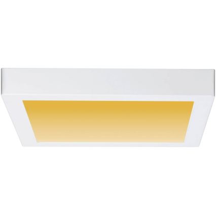 Paulmann 79801 - LED/13W Iluminação de teto CARPO 230V 2300/2500/3000K