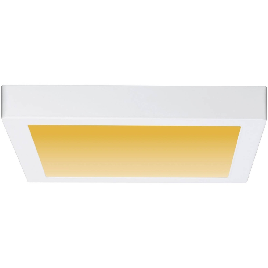 Paulmann 79801 - LED/13W Iluminação de teto CARPO 230V 2300/2500/3000K