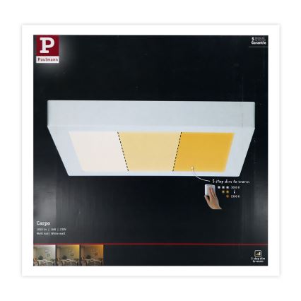 Paulmann 79801 - LED/13W Iluminação de teto CARPO 230V 2300/2500/3000K