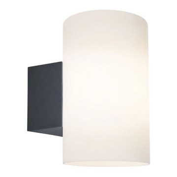 Paulmann 94186 - 1xE27/15W IP54 Iluminação de parede exterior TUBE 230V