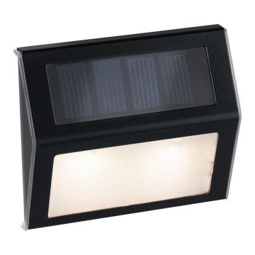 Paulmann 94234- LED/0,05W IP44 Iluminação solar exterior com sensor DAYTON 1,5V