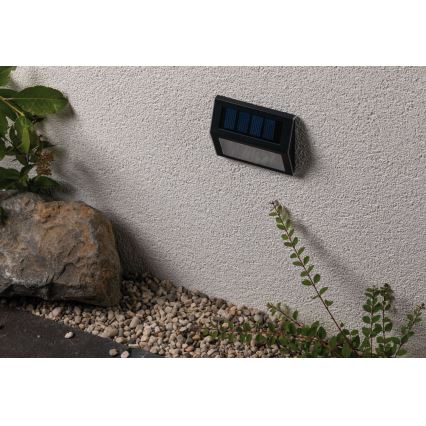 Paulmann 94234- LED/0,05W IP44 Iluminação solar exterior com sensor DAYTON 1,5V