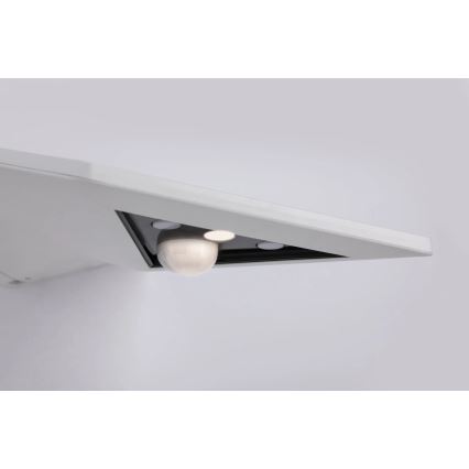 Paulmann 94244 - Aplique de parede solar LED 1,2 W IP44 com sensor YOKO 3,7 V 1800 mAh branco