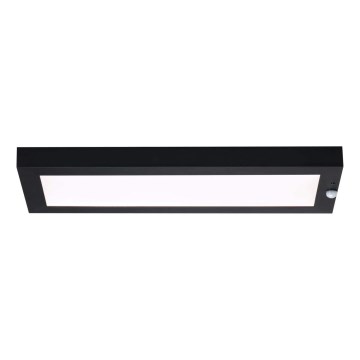 Paulmann 94256_1 - LED/10W IP44 Iluminação de teto exterior com sensor 230V