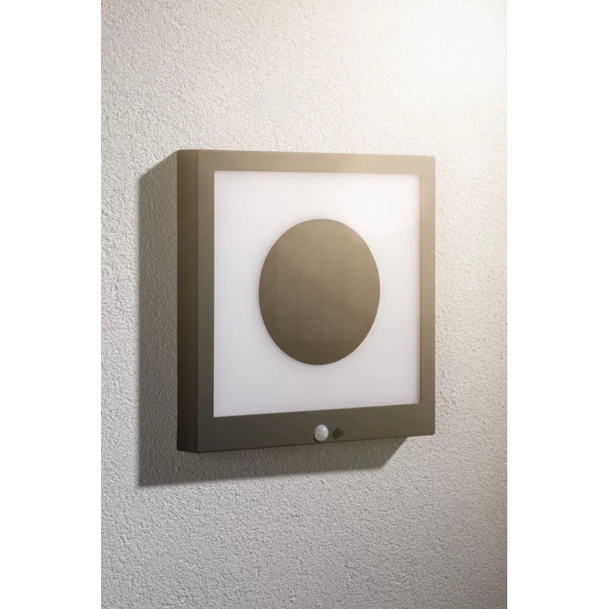 Paulmann 94263 - LED/1,2W IP44 Candeeiro de parede solar com sensor TAIJA 3,7V