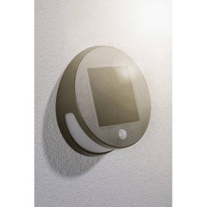 Paulmann 94265 - LED/3W IP44 Iluminação solar de exterior com sensor HELENA 3,7V