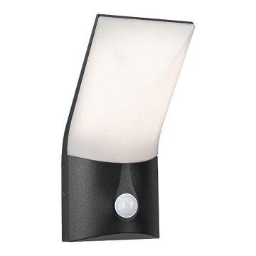 Paulmann 94402 - LED/10W IP44 Iluminação de parede exterior com sensor ADYA 230V