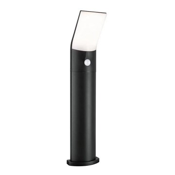 Paulmann 94403 - Lâmpada exterior LED/10W IP44 com sensor ADYA 230V