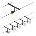 Paulmann 94450 - CONJUNTO 5xGU5,3/10W Foco para sistema de carril SHEELA 230V preto