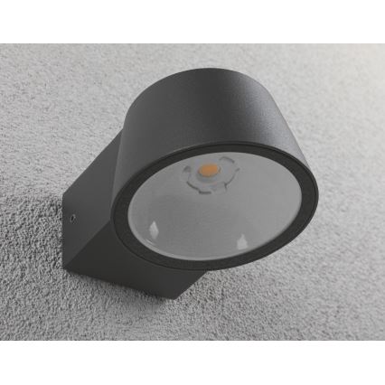 Paulmann 94452 - LED/6W IP44 Iluminação de parede exterior CAPEA 230V