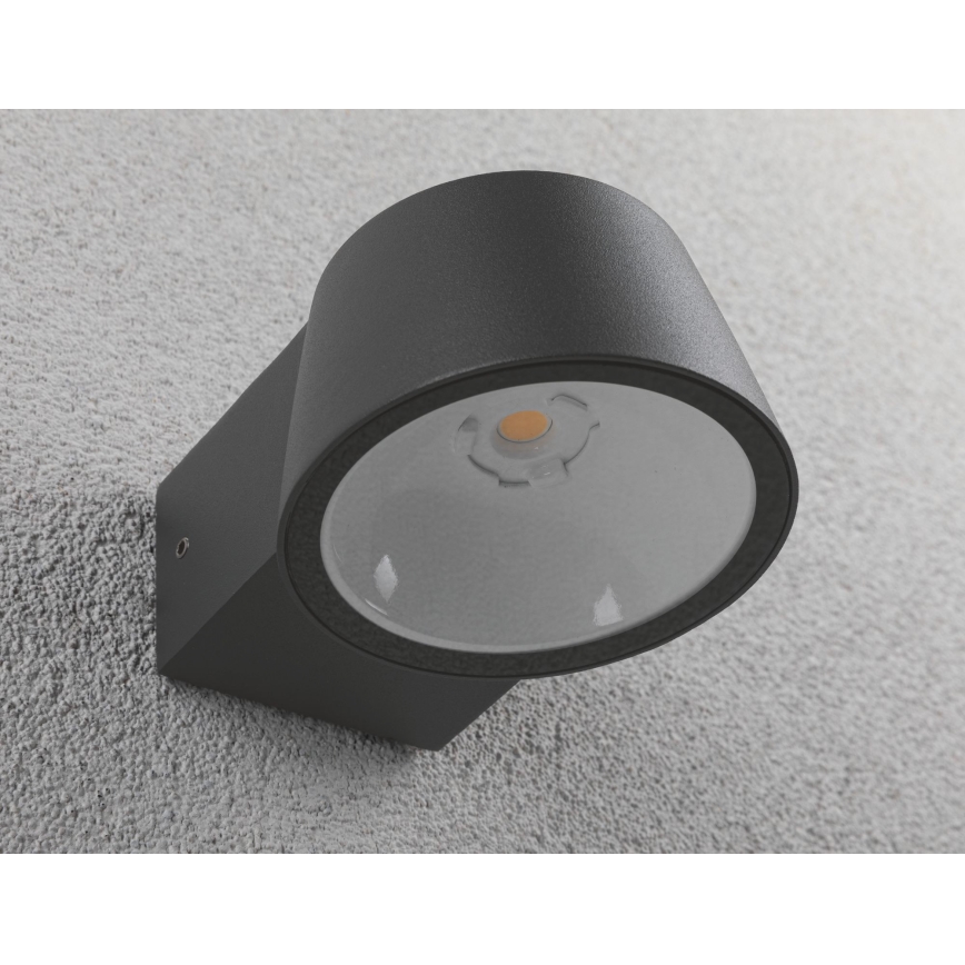 Paulmann 94452 - LED/6W IP44 Iluminação de parede exterior CAPEA 230V