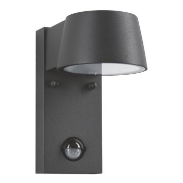 Paulmann 94453 - LED/6W IP44 Iluminação de parede exterior com sensor CAPEA 230V