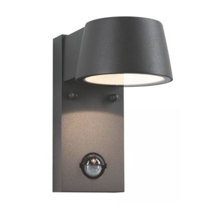 Paulmann 94453 - LED/6W IP44 Iluminação de parede exterior com sensor CAPEA 230V