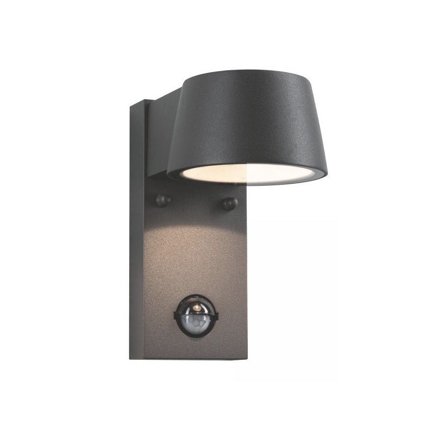 Paulmann 94453 - LED/6W IP44 Iluminação de parede exterior com sensor CAPEA 230V