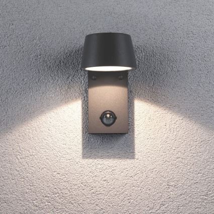 Paulmann 94453 - LED/6W IP44 Iluminação de parede exterior com sensor CAPEA 230V
