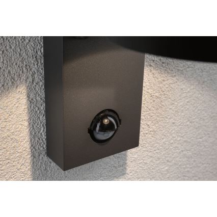 Paulmann 94453 - LED/6W IP44 Iluminação de parede exterior com sensor CAPEA 230V