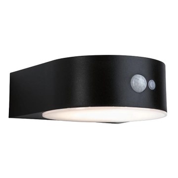 Paulmann 94570 - LED/5,5W IP44 Candeeiro de parede solar com sensor EILEEN 3,7V
