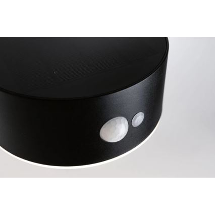 Paulmann 94570 - LED/5,5W IP44 Luminária de parede solar com sensor EILEEN 3,7V 2000 mAh