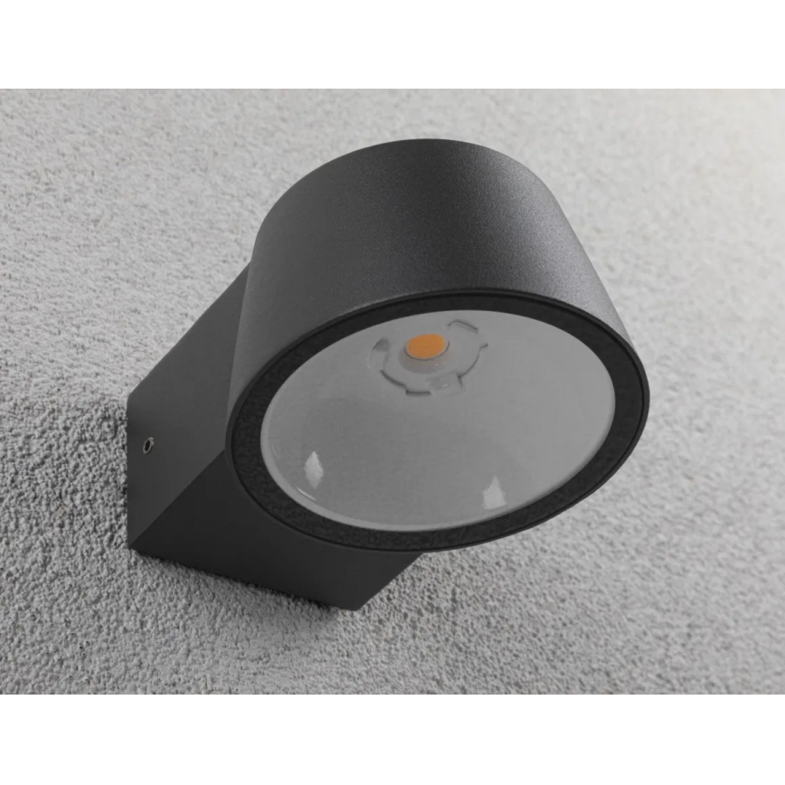 Paulmann 94713 - LED/6W IP44 Iluminação de parede exterior CAPERA 230V