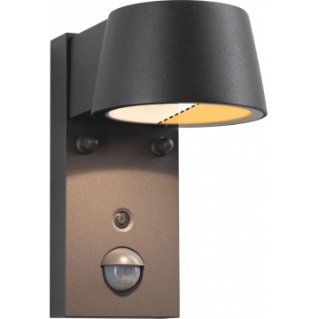 Paulmann 94714 - LED/6W IP44 Iluminação de parede exterior com sensor CAPERA 230V 2200/3000K