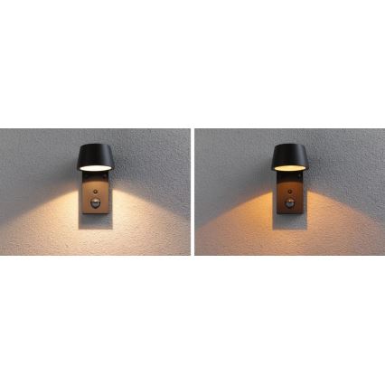 Paulmann 94714 - LED/6W IP44 Iluminação de parede exterior com sensor CAPERA 230V 2200/3000K