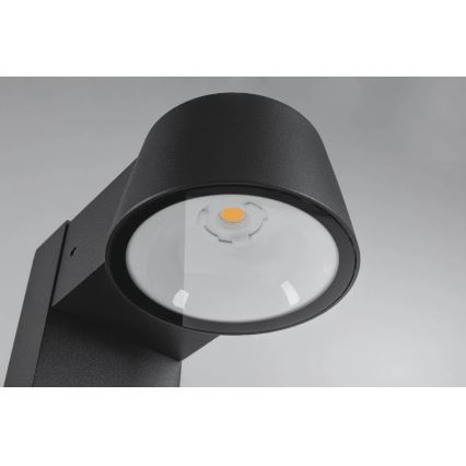 Paulmann 94715 - LED/6W IP44 Candeeiro exterior CAPERA 230V