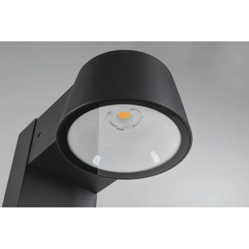 Paulmann 94715 - LED/6W IP44 Candeeiro exterior CAPERA 230V
