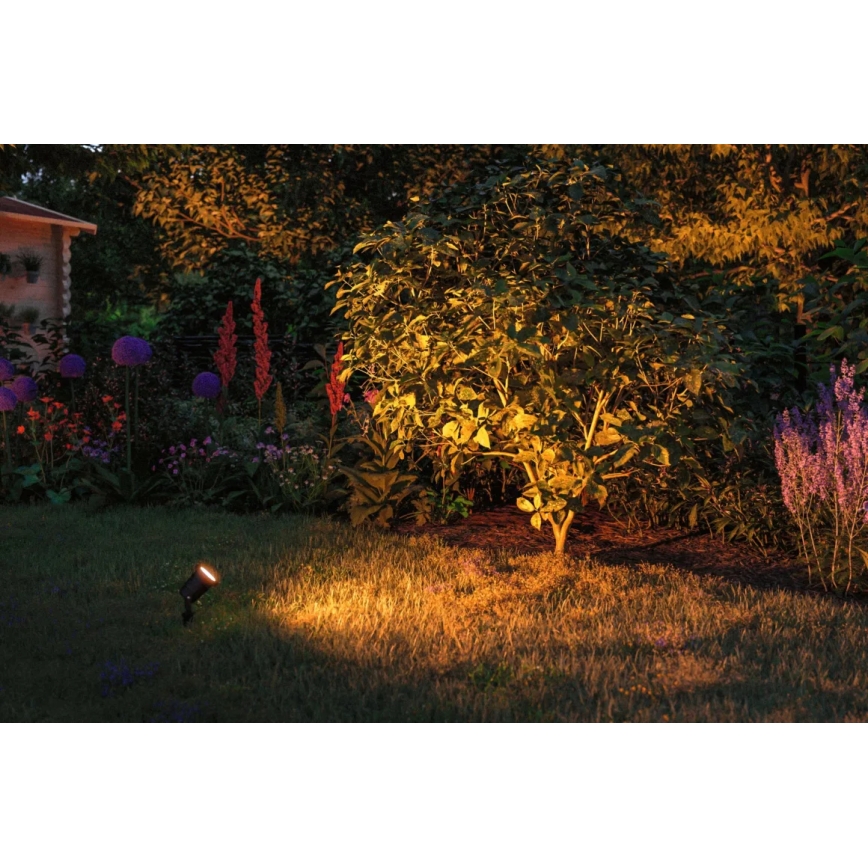 Paulmann 94731 - LED/4,3W IP65 Candeeiro exterior SPOT 230V