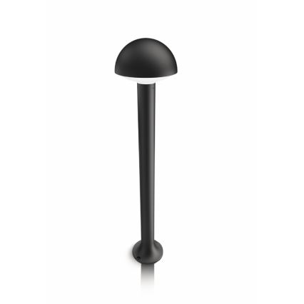 Philips - Coluna exterior LED 1xLED/3W/230V