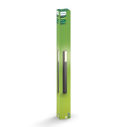 Philips - Candeeiro exterior LED 2xLED/4,5W/230V IP44