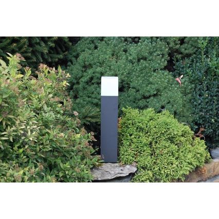 Philips 16935/93/16 - Candeeiro de exterior ECOMOODS BRANCHE 1xE27/20W/230V IP44