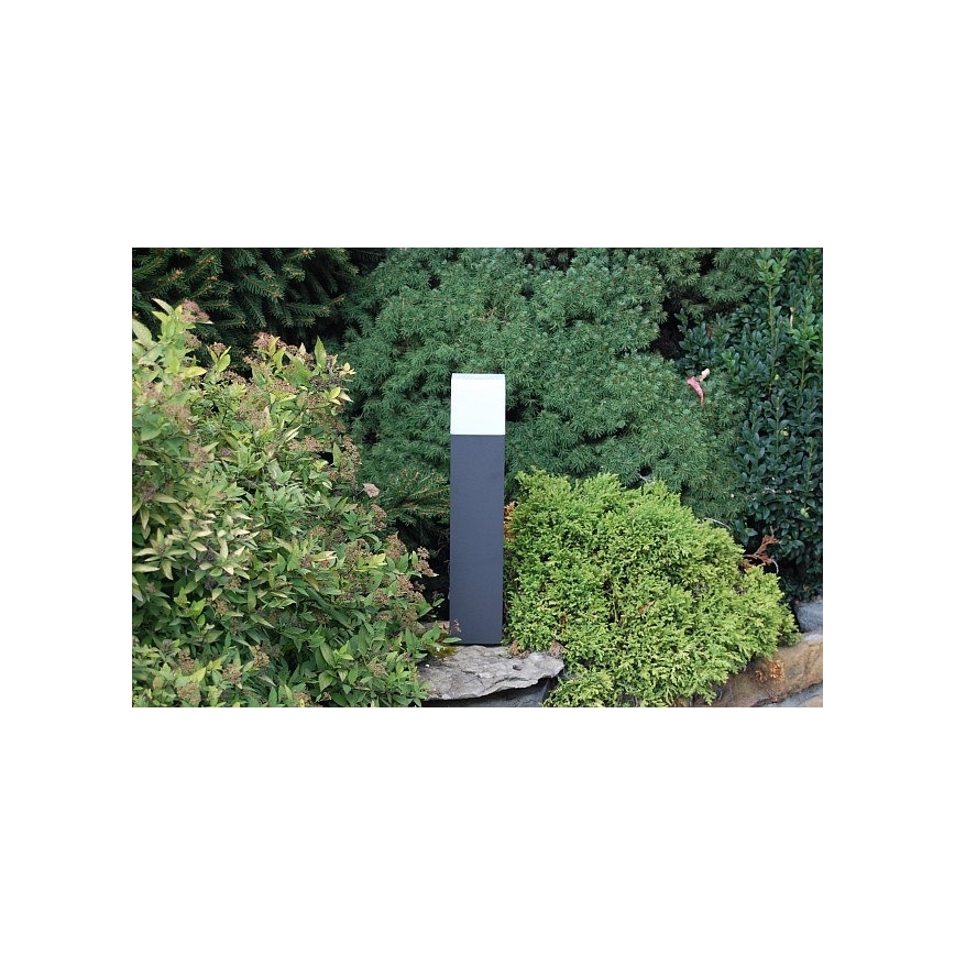 Philips 16935/93/16 - Candeeiro de exterior ECOMOODS BRANCHE 1xE27/20W/230V IP44