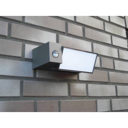 Philips - Luz de exterior com sensor 1xE27/23W/230V IP44