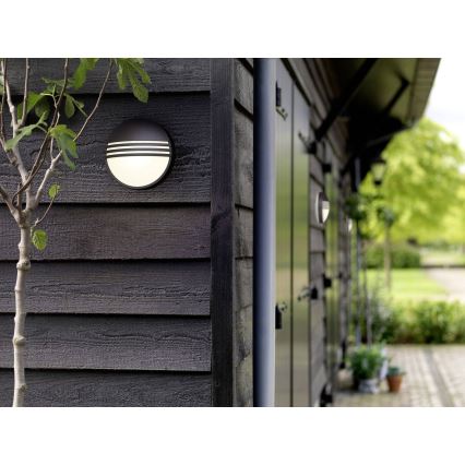 Philips - Iluminação de parede exterior 1xLED/6W/230V IP44