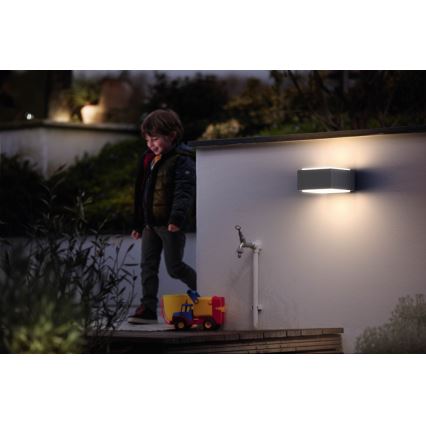 Philips - Iluminação de parede exterior E27/42W/230V IP44