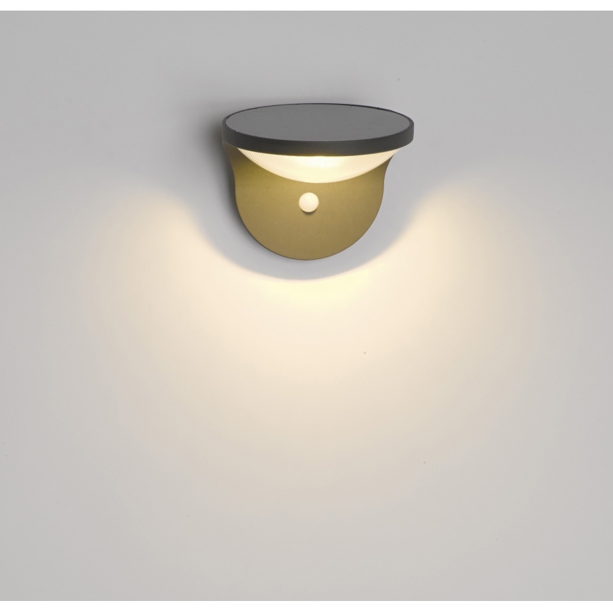 Philips - Luz solar exterior LED com sensor 1xLED/1W/3.7V