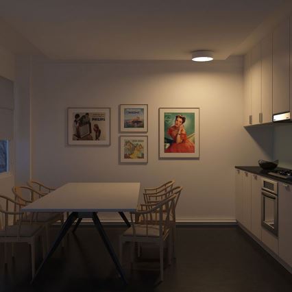 Philips - Luz de teto 2xE27/23W/230V