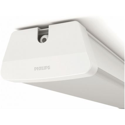 Philips - Luz de trabalho LED LED/50W/230V IP65 4000K