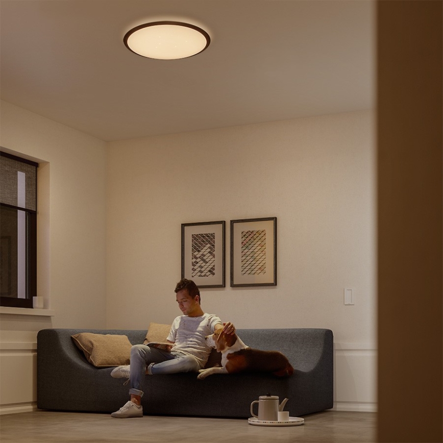 Philips 32809/31/P3 - Luz de teto fosca LED CANAVAL LED/18W/230V
