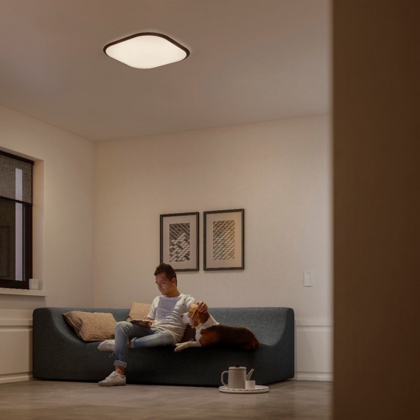 Philips 32810/31/P3 - Candeeiro para teto LED CANAVAL LED/18W/230V
