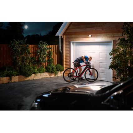Philips 3389/41/99 - Holofote LED LED/20W/230V IP65