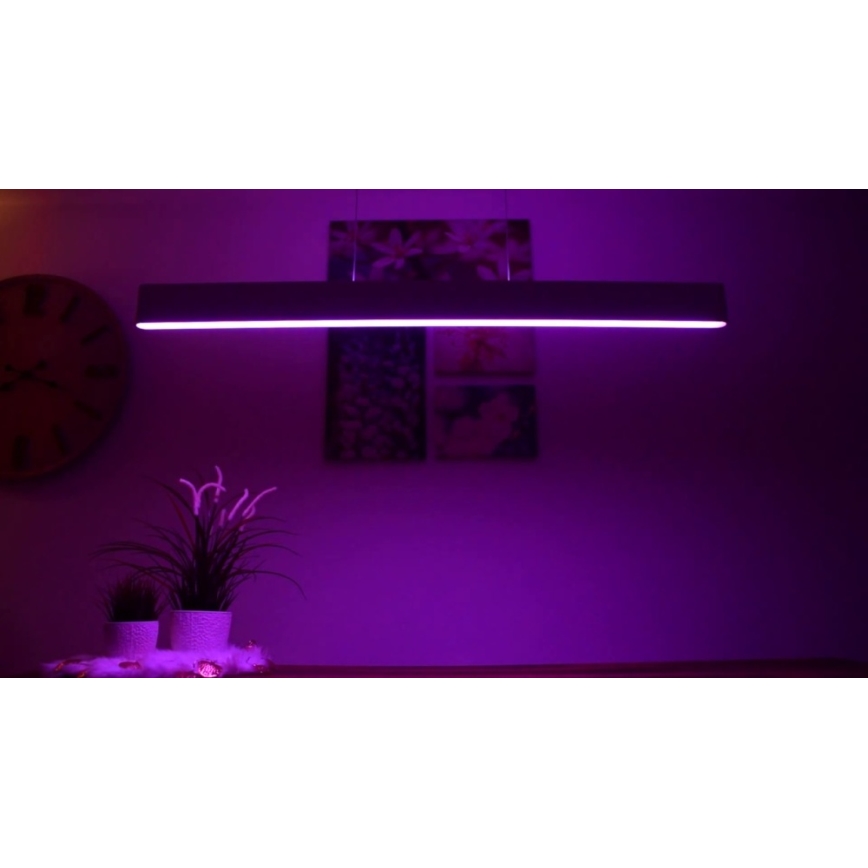 Philips -  LED RGBW Candelabro suspenso com regulação Hue ENSIS White And Color Ambiance 2xLED/39W/230V